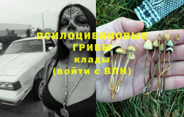 амфетамин Козловка